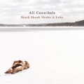 Black Shark Shake-A-Lake