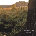 Andrew Bird [Noble Beast]