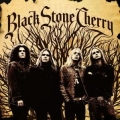 Black Stone Cherry