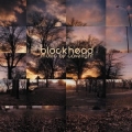  Blockhead [Music By Cavelight]