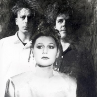  Cocteau Twins