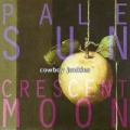 Pale Sun-Crescent Moon
