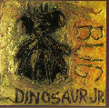  Dinosaur Jr [Bug]