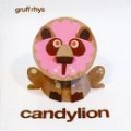 Candylion