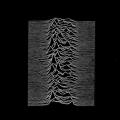 Unknown Pleasures