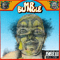 Mr.Bungle