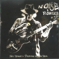 Noise & Flowers