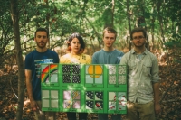  Pinegrove