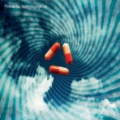  Porcupine Tree [Voyage 34: The Complete Trip]