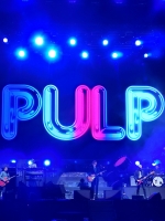  Pulp