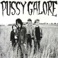  Pussy Galore [Groovy Hate Fuck]