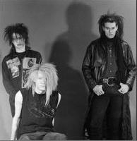  Skinny Puppy