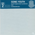  Sonic Youth [SYR 2]