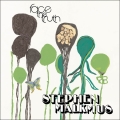 Stephen Malkmus [Face The Truth]