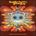  Super Furry Animals [Rings Around The World]