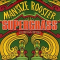 Mansize Rooster