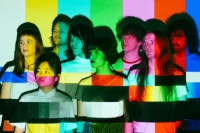  Superorganism