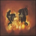 The Besnard Lakes [The Besnard Lakes Are The Dark Horse]