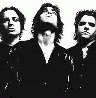 The Jon Spencer Blues Explosion