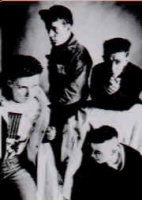 The Pale Fountains