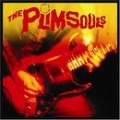 The Plimsouls [One Night In America]
