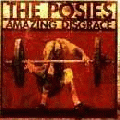 The Posies [Amazing Disgrace]