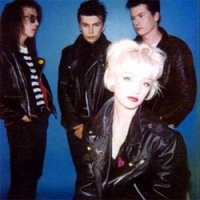 The Primitives