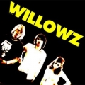 The Willowz