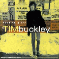 Morning Glory - The Tim Buckley Anthology