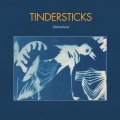  Tindersticks [Distractions]